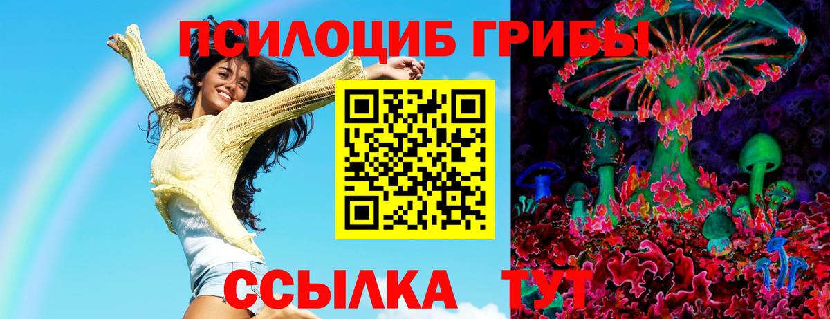 Псилоцибиновые грибы мухоморы  купить наркотики цена  Малгобек  Вход с VPN 